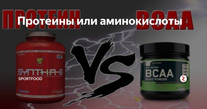 Что лучше протеин или аминокислоты (+ bcaa)? отзывы врачей и экспертов | promusculus.ru
что лучше протеин или аминокислоты (+ bcaa)? отзывы врачей и экспертов | promusculus.ru