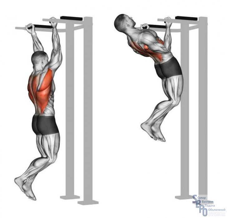 Упражнения для спины и для широчайших мышц спины и трапеции