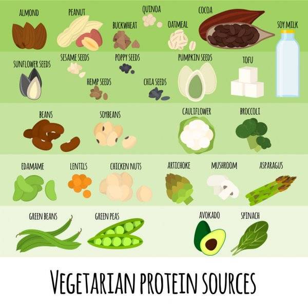 Спортивное питание для вегетарианцев и веганов