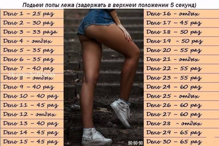 Как накачать попу в домашних условиях: топ 5 занятий – качайся.ру