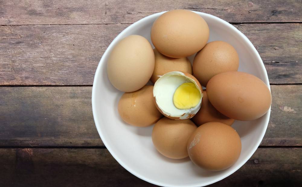 Куриные яйца: польза и вред для организма. советы и видео