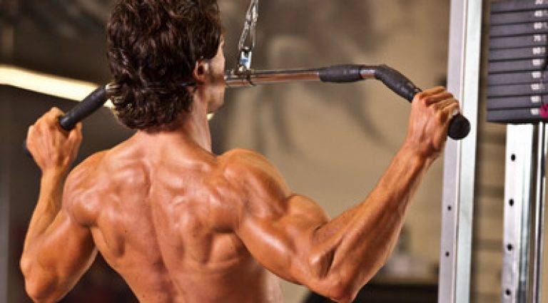 Как накачать мышцы спины? лучшие упражнения и секреты для тренировок