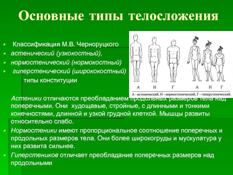 Среднее телосложение: определение понятия, характеристика конституции тела человека