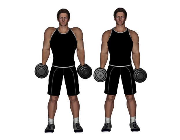 Трапециевидная мышца: лучшие упражнения для тренировки трапеций в домашних условиях и тренажерном зале