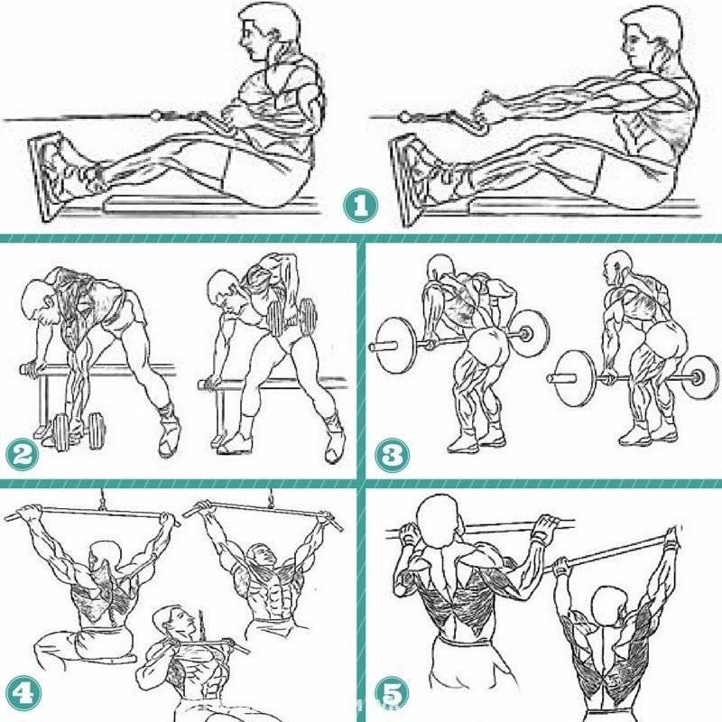 Рабочий комплекс упражнений для укрепления мышц спины и позвоночника