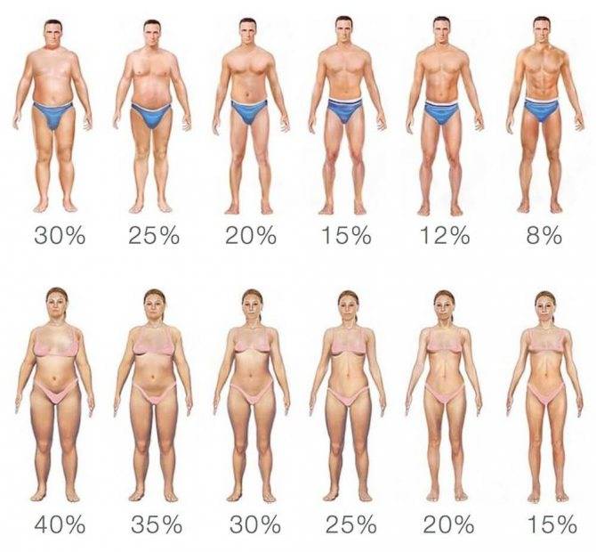 Как узнать процент жира? таблицы для мужчин и для женщин + фото