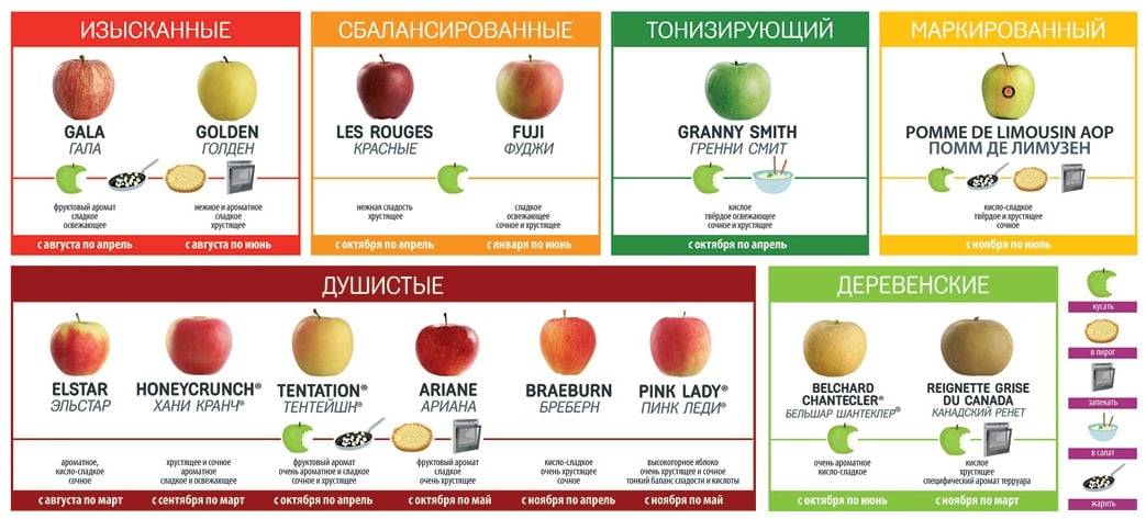 Сколько калорий в зеленом яблоке разных сортов?