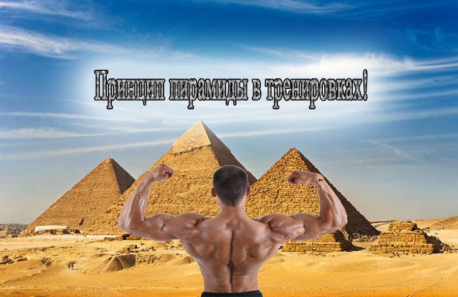 Принцип пирамиды в бодибилдинге - tony.ru