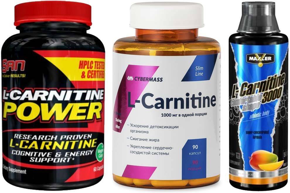 L-карнитин — как пить для похудения? дозировки и схема приема