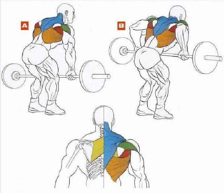 Как накачать мышцы спины дома без тренажеров