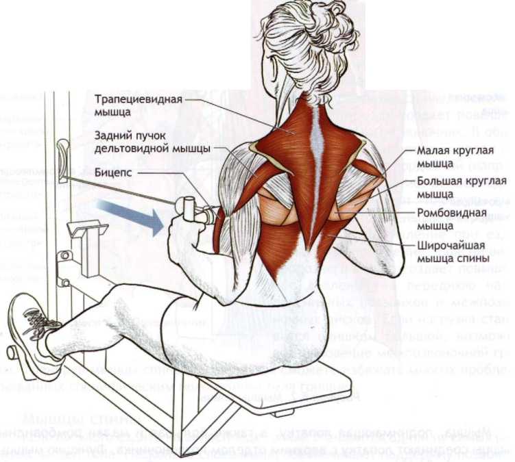 Упражнения на спину для женщин в домашних условиях: лучшие