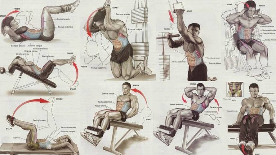Как убрать живот и бока мужчине в тренажерном зале: упражнения для похудения и готовые программы тренировок, чтобы сжечь внутренний жир