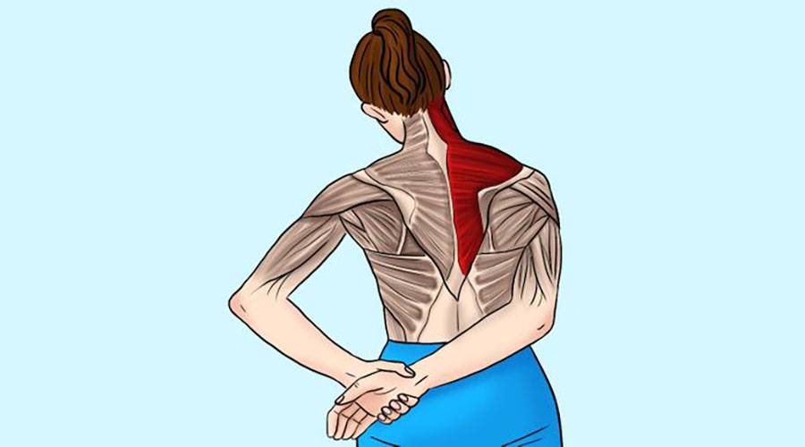 Как расслабить шею и плечи: 17 простых упражнений