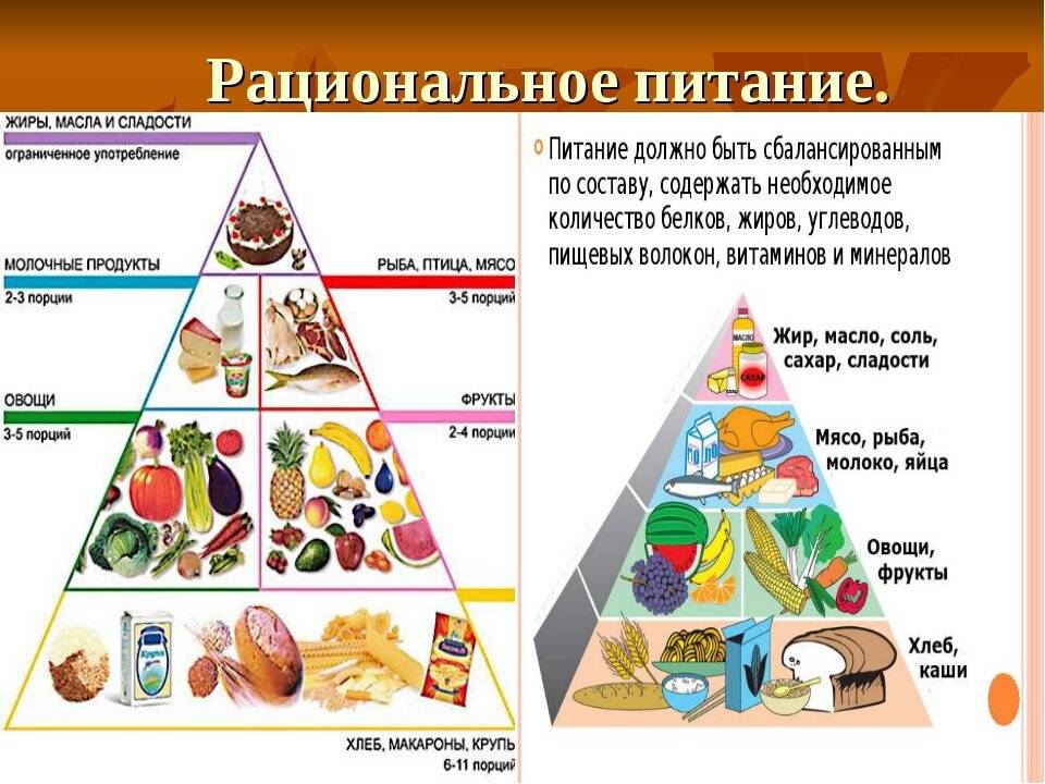 Культура питания проект