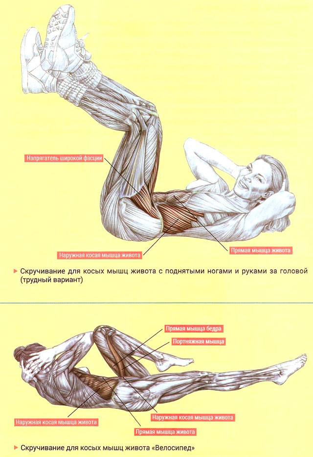 Боковой пресс: инструкция как накачать боковые мышцы в домашних условиях/тренажерном зале (фото+схема)