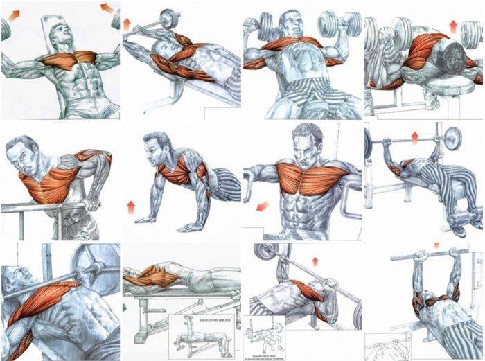 Как накачать мышцы?