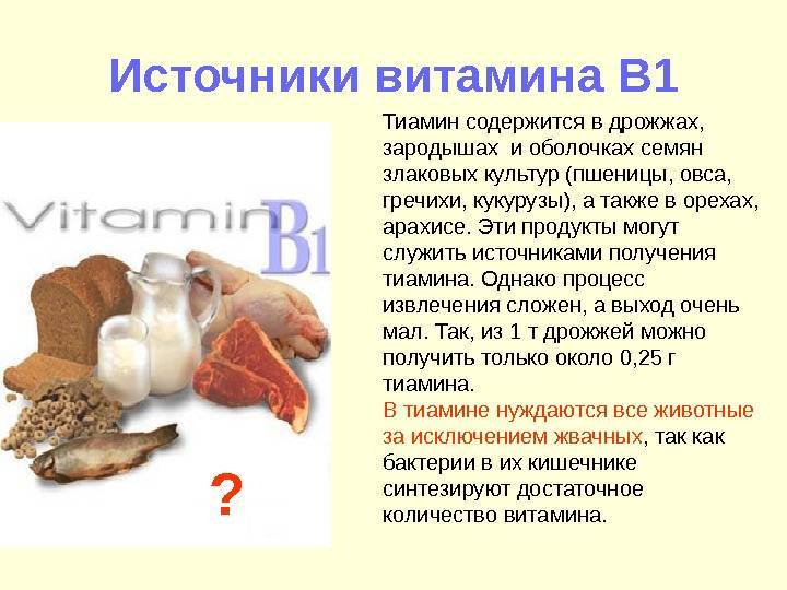 Продукты б 1. Источники витамина в1. Источники витамина в1 тиамина. Пищевые источники витамина в1. Продукт являющийся источником витамина в1:.