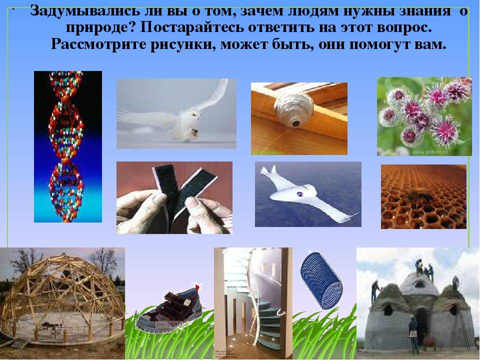 Знания о живой природе. Зачем нужны знания. Зачем нужны знания о природе. Для чего нужны знания человеку. Почему человеку нужна природа.