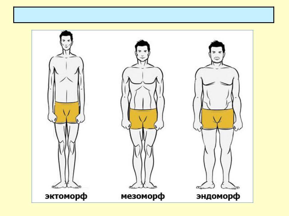 Типы мужских фигур: как определить тип телосложения и что носить