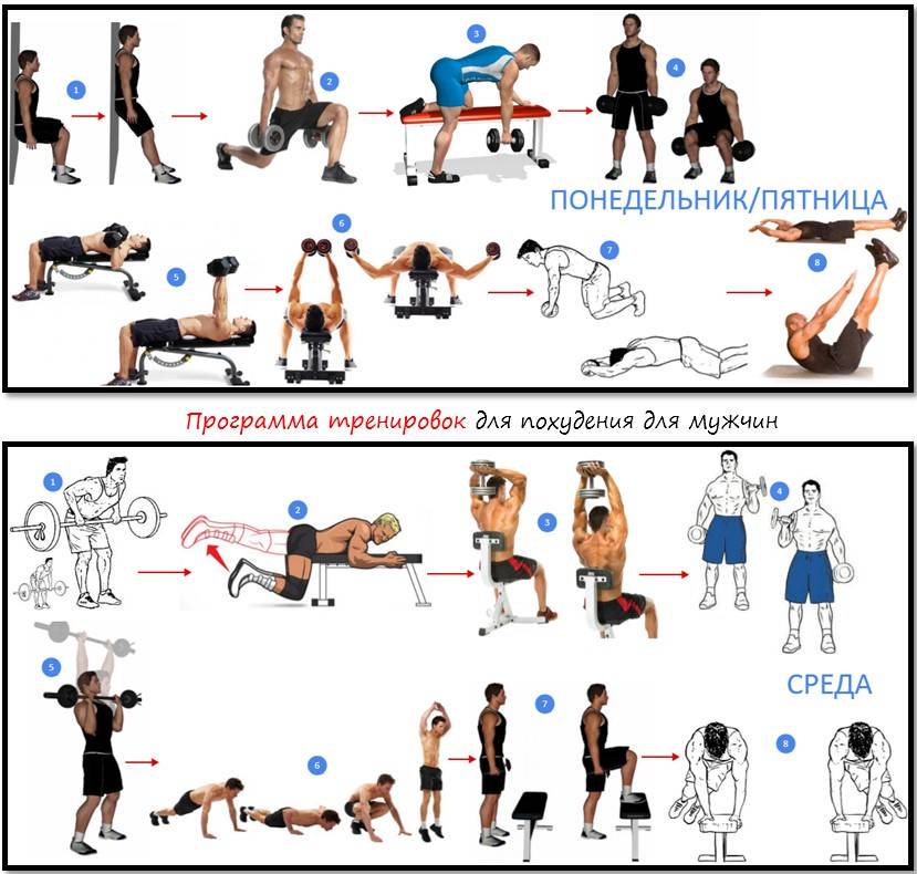 Программа тренировки в спортзале для мужчин: для похудения и набора массы