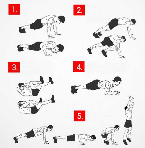 Как убрать живот и бока мужчине в тренажерном зале: упражнения для похудения и готовые программы тренировок, чтобы сжечь внутренний жир