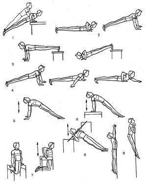 Упражнения для рук и плеч: 11 эффективных упражнений с фото