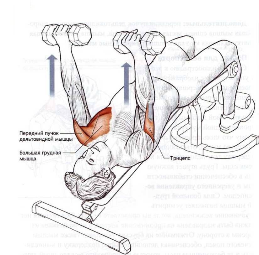 Упражнение кроссовер - проработка для грудных мышц