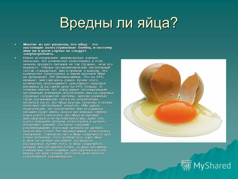 Чем полезны куриные яйца - польза для организма человека, свойства