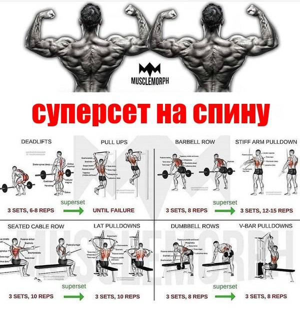 Упражнения на плечи в тренажерном зале: комплекс упражнений, особенности выполнения - tony.ru