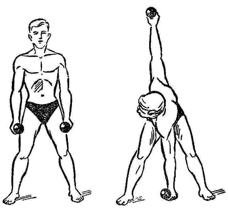 Тяга гантелей в наклоне: к поясу одной рукой с упором на скамье и стоя попеременно - техника выполнения для мужчин и девушек