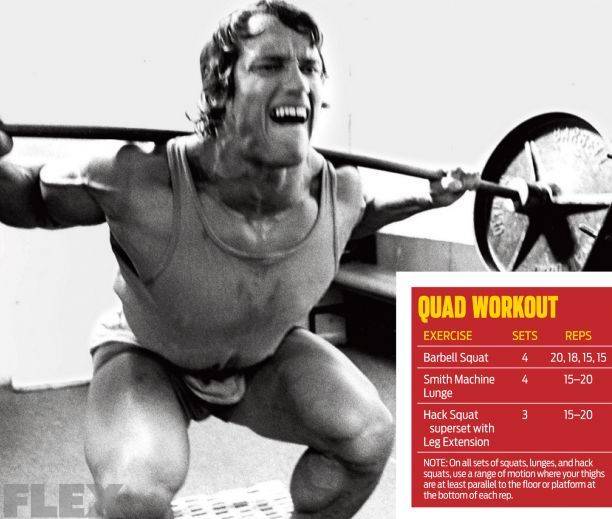 Программа тренировок Арнольда Шварценеггера — как тренировался знаменитый атлет?
