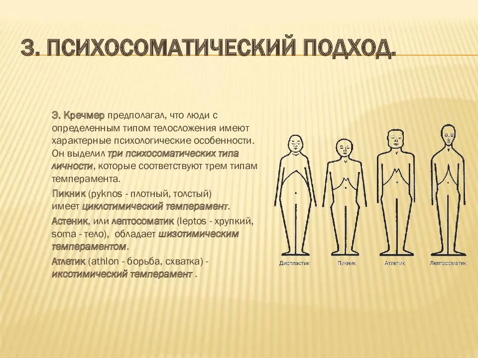 Психотипы личности в зависимости от телосложения: астеник, нормостеник, гиперстеник