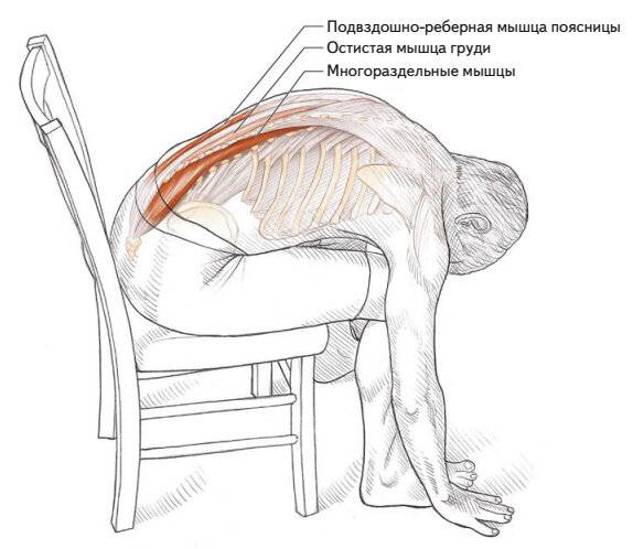 Растяжка спины: упражнения, разминочные комплексы и рекомендации