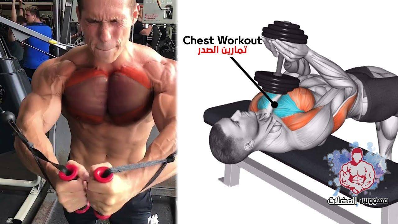 Как накачать внутреннюю часть грудных мышц: топ-7 упражнений