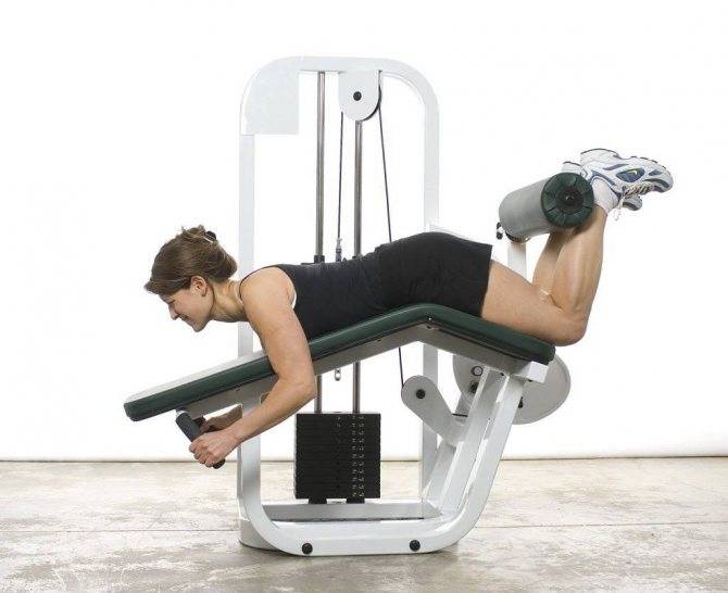 Упражнения на мышцы ног для мужчин и женщин в тренажерном зале