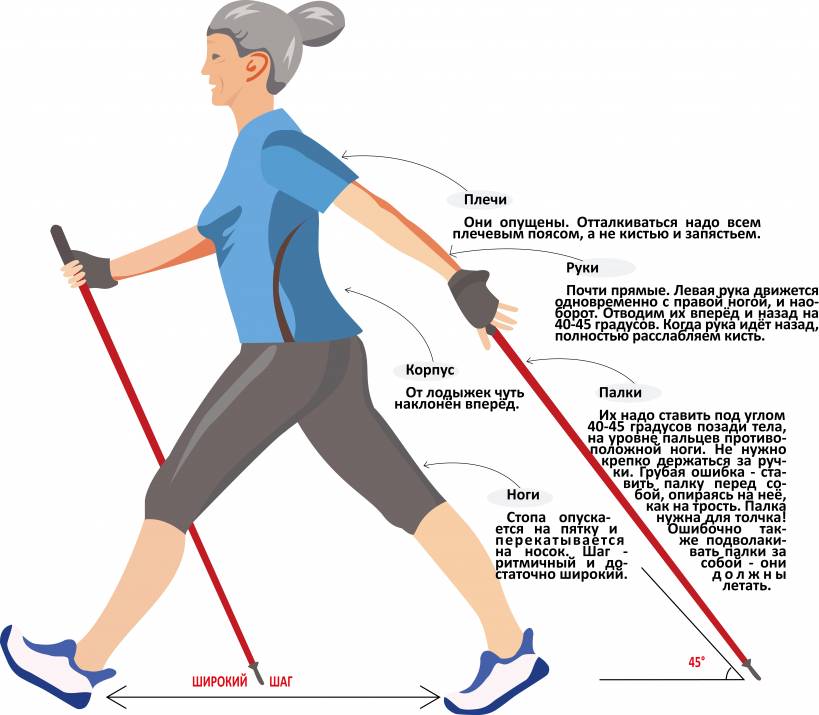 Cкандинавская ходьба: как правильно ходить для быстрого похудения