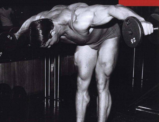 Тренировка грудных мышц арнольда шварценеггера: как тренировал грудь легендарный атлет?
