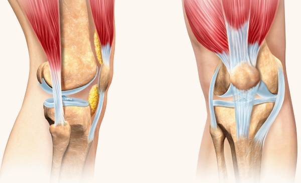 Травма колена: виды повреждений коленного сустава, первая помощь и лечение