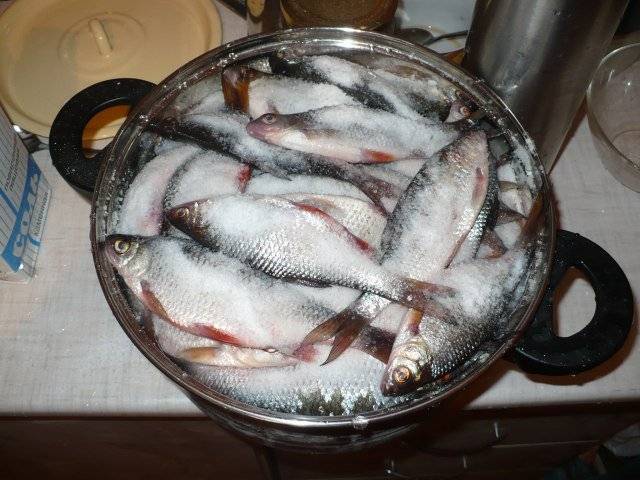 Как вкусно посолить красную рыбу в домашних условиях: сухой и мокрый посол