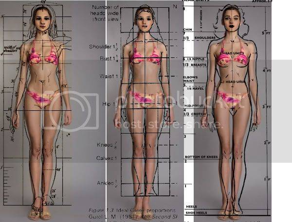 Идеальные пропорции женского тела: самая подробная таблица параметров для девушек