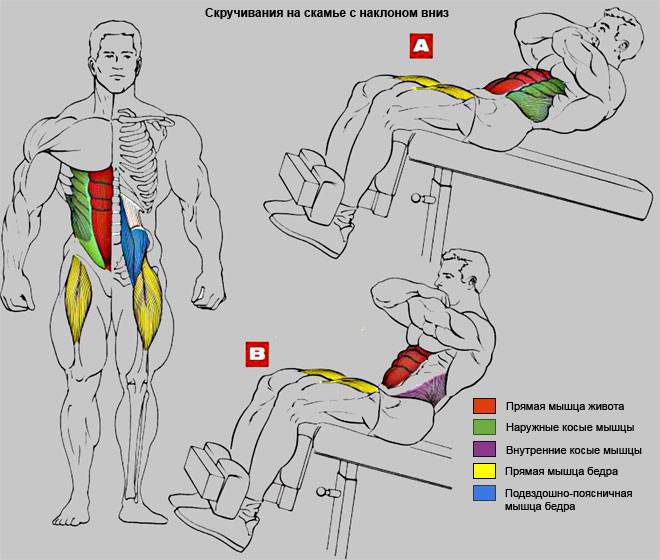 Как накачать мышцы девушке | грудь, спина, руки | bestbodyblog.com