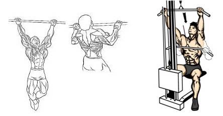Развитие мышц спины: упражнения на турнике помогут накачать спину | rulebody.ru — правила тела