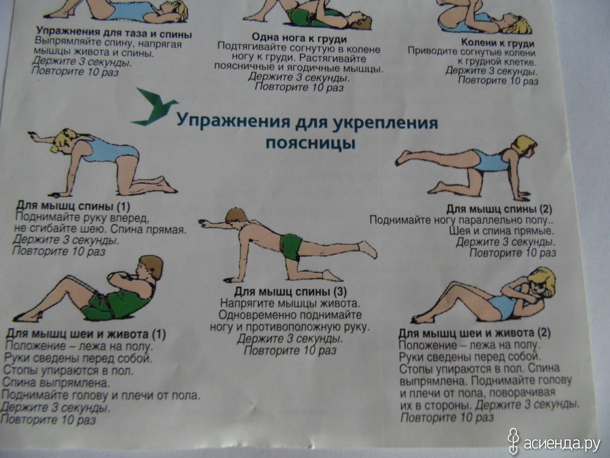 Топ-12 упражнений для мышц спины в домашних условиях