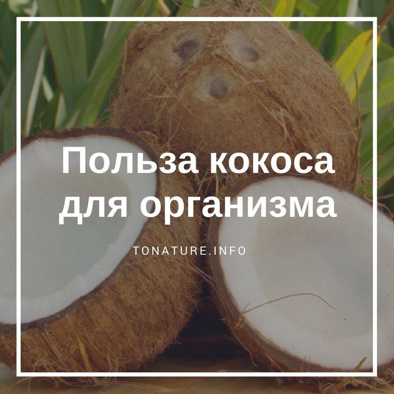 Мякоть кокоса: польза и вред, применение