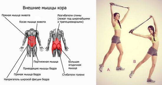 Прыжки на скакалке для похудения: польза, упражнения, отзывы - минус 5 кг легко - похудейкина