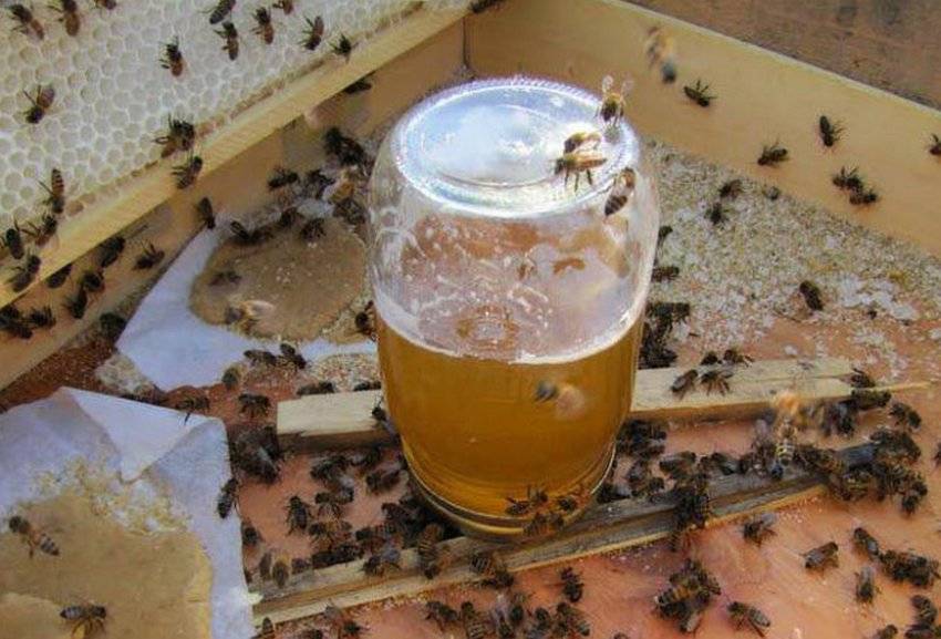 Подкормка пчел весной сахарным. Подкормка пчел сахарным сиропом. Сахарный сироп для пчел. Подкормка пчел на зиму сахарным сиропом. Сироп для подкормки пчел.