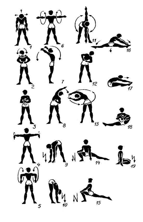 Растяжка мышц после тренировки, упражнения для растяжки всех групп мышц