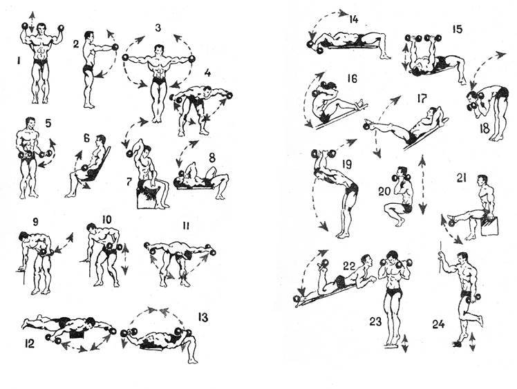 Лучшие 7 упражнений с гантелями на руки в домашних условиях + примеры программ тренировок