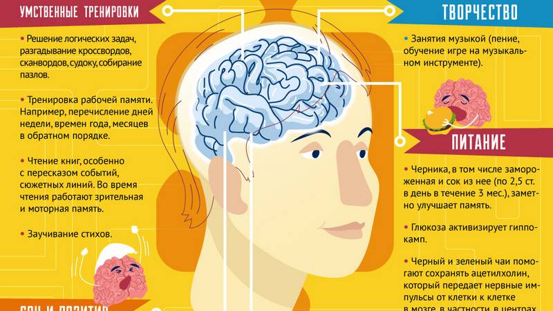 Таблетки для улучшения мозговой деятельности и памяти