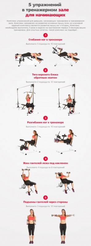 Упражнения для спины в тренажерном зале для девушек: тренировки для женщин на спину, руки и плечи, примеры программ
